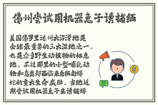 国产精品久久久久精品三级无码